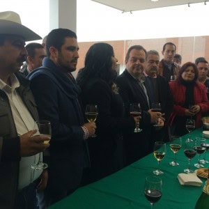 960c877bd747f5867a336c28774332f4